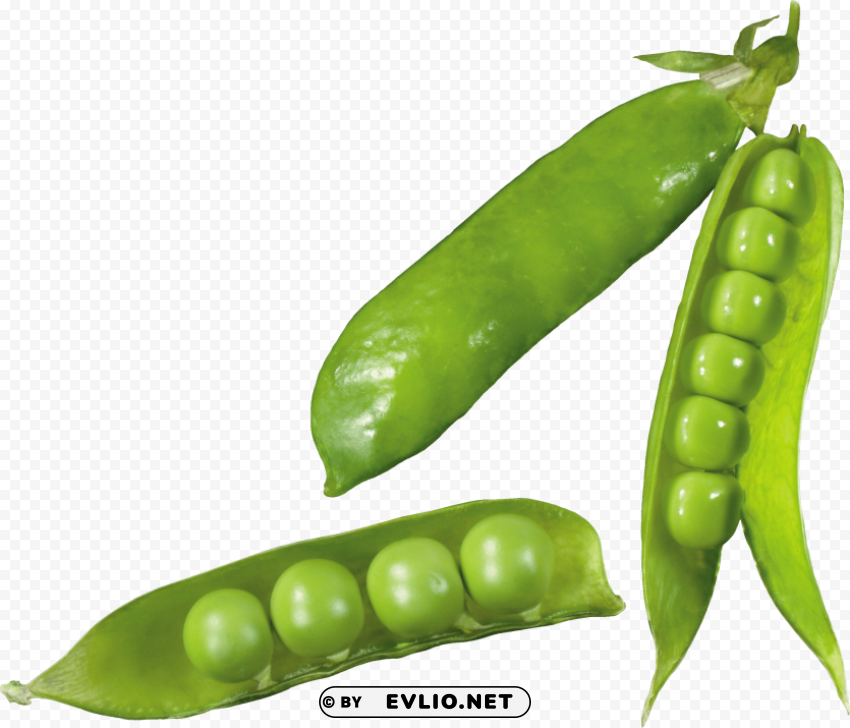 pea Transparent Background PNG Isolated Graphic