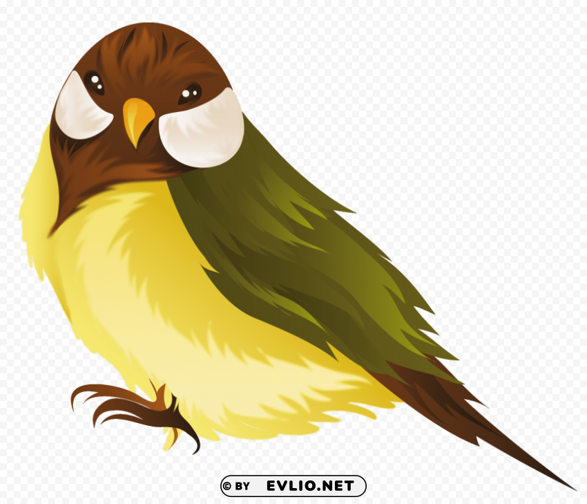birds free vector design Transparent PNG picture