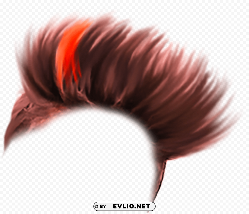 hair style Clear PNG image