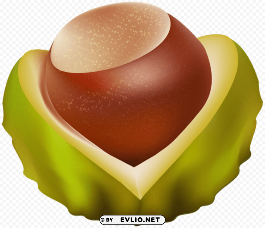 chestnut Isolated Element in HighResolution Transparent PNG