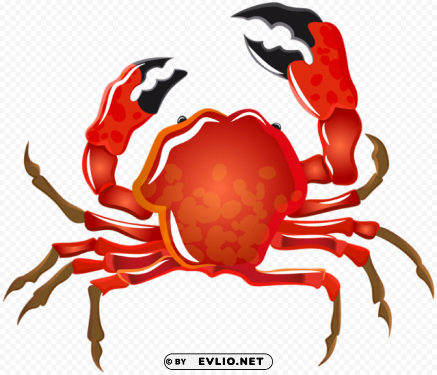 crab Isolated Graphic with Clear Background PNG