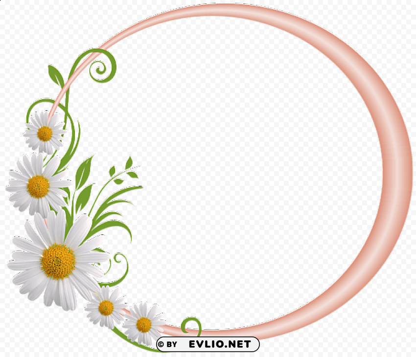 cream round frame with daisies Transparent PNG pictures for editing