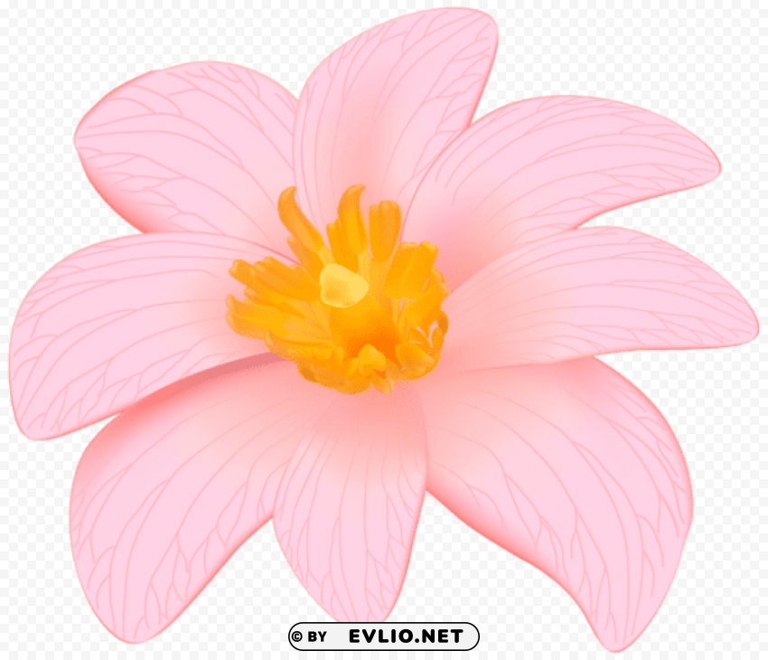 PNG image of exotic pink flower PNG free download with a clear background - Image ID 919f6169