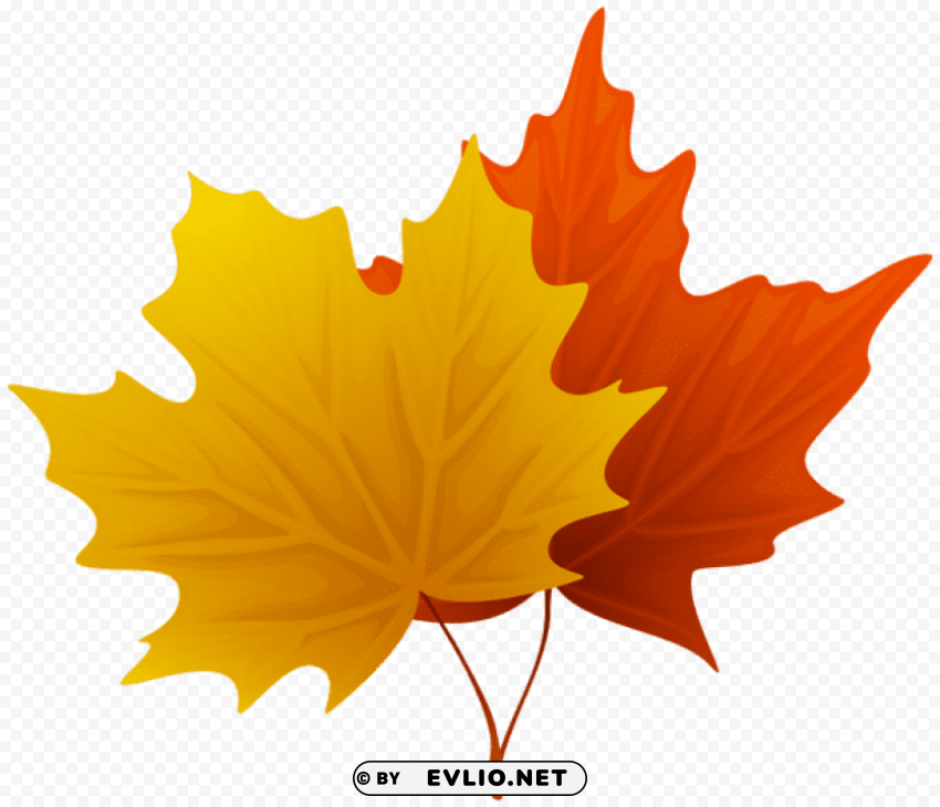 fall maple leaves decorative Free PNG transparent images