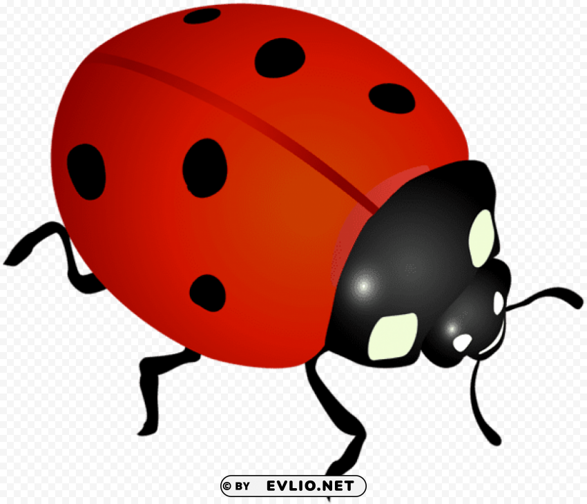 PNG image of ladybug Transparent PNG stock photos with a clear background - Image ID fa12fbb1