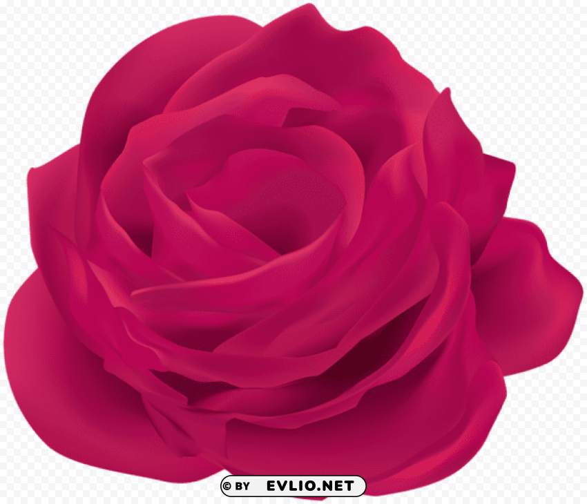 PNG image of pink rose flower Transparent PNG Isolated Item with a clear background - Image ID f563f1f7