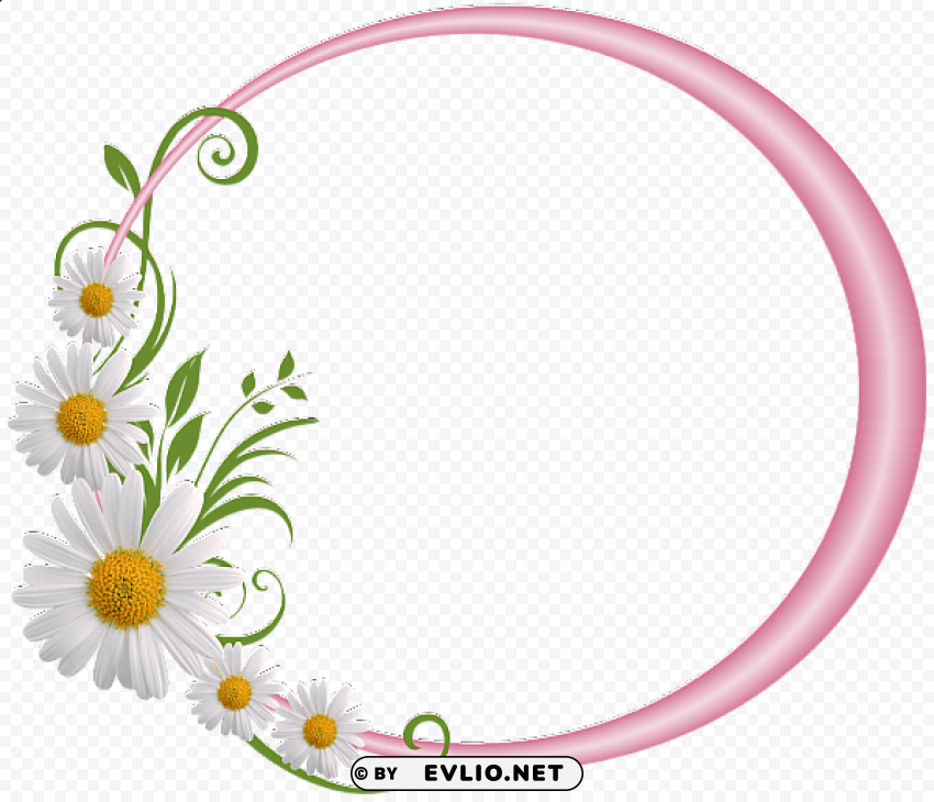 pink round frame with daisies Transparent PNG pictures complete compilation