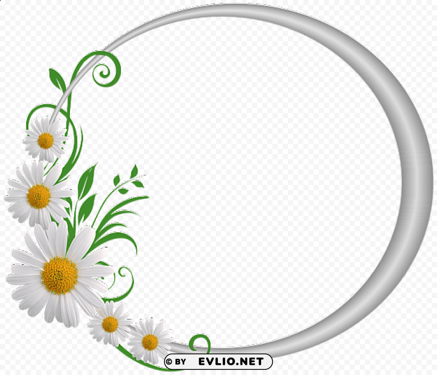 silver round frame with daisies Transparent PNG stock photos