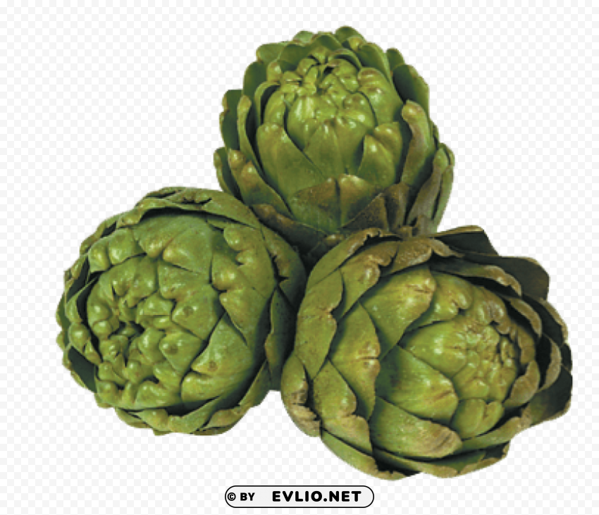 Transparent artichokes PNG images with transparent elements PNG background - Image ID 55b9bf03