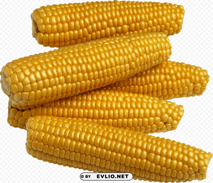 corn Clean Background Isolated PNG Image