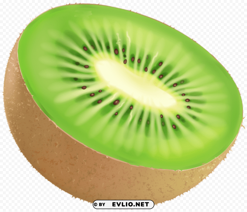 kiwi fruit HighQuality Transparent PNG Isolated Artwork