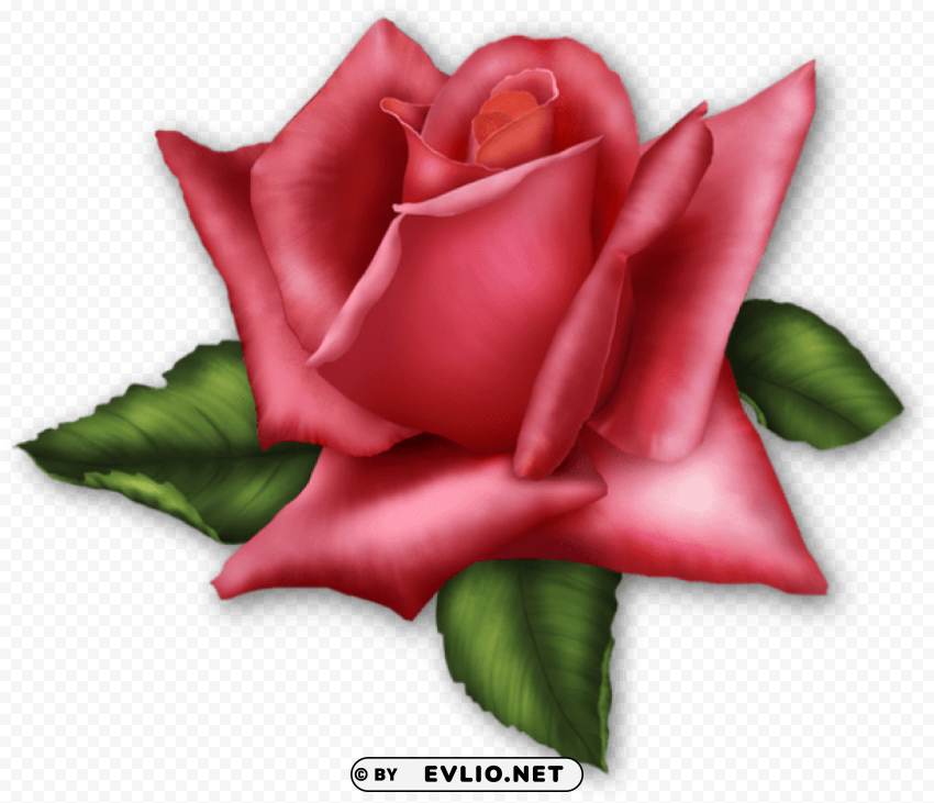 large rose element Transparent Background PNG Isolated Illustration