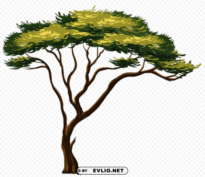 painted african treepicture Images in PNG format with transparency