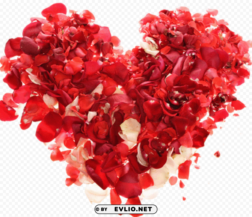 Transparent background PNG image of rose heart Free PNG download no background - Image ID 7454b072