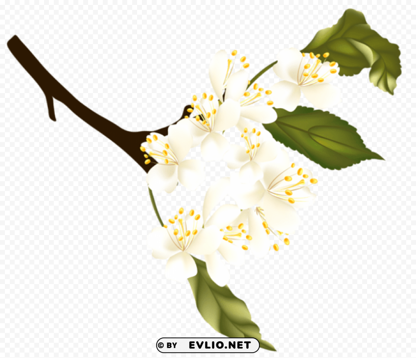 spring branch element PNG images with clear background