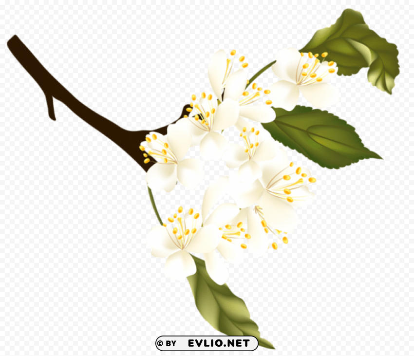 Spring Branch Element PNG Images With Clear Background