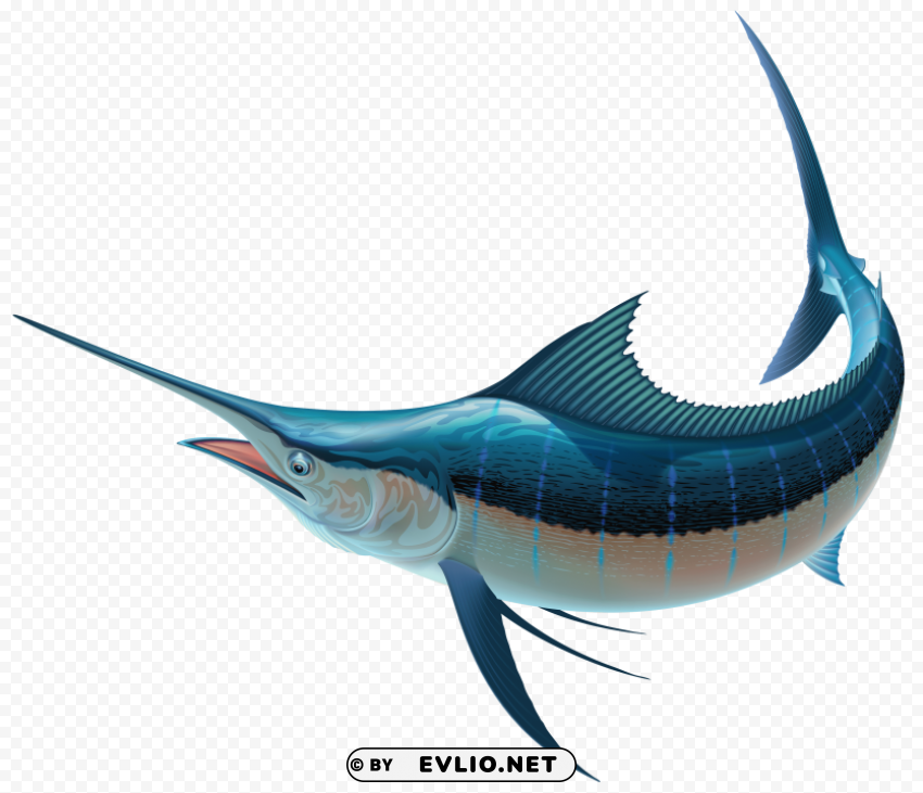 swordfish Clear Background PNG Isolated Element Detail