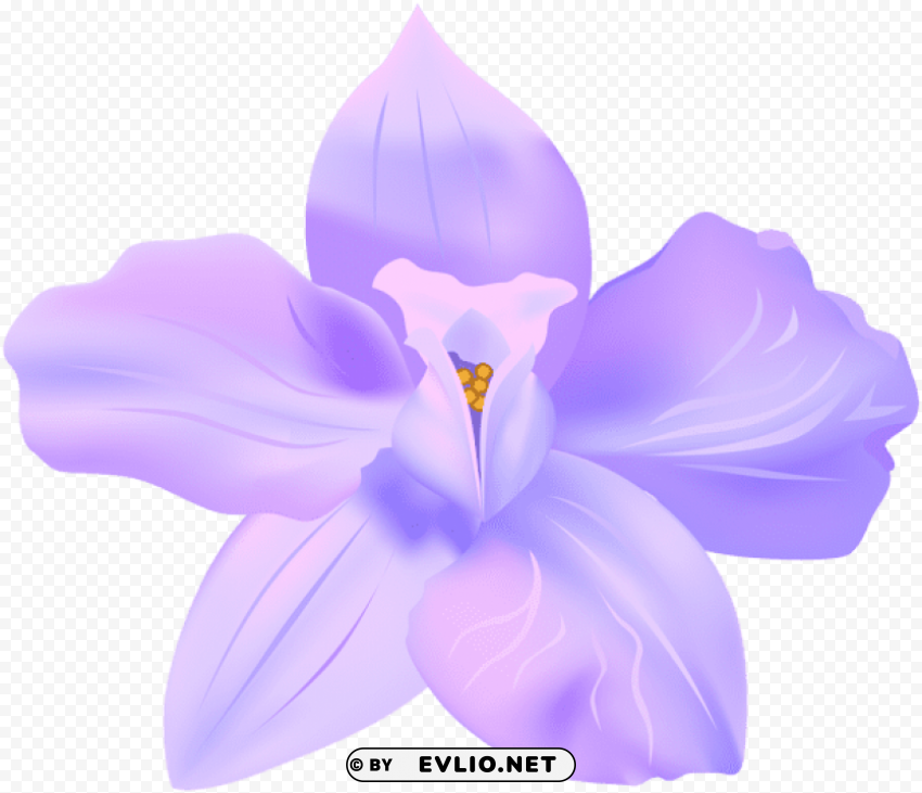 violet spring flower decorative PNG transparent images bulk