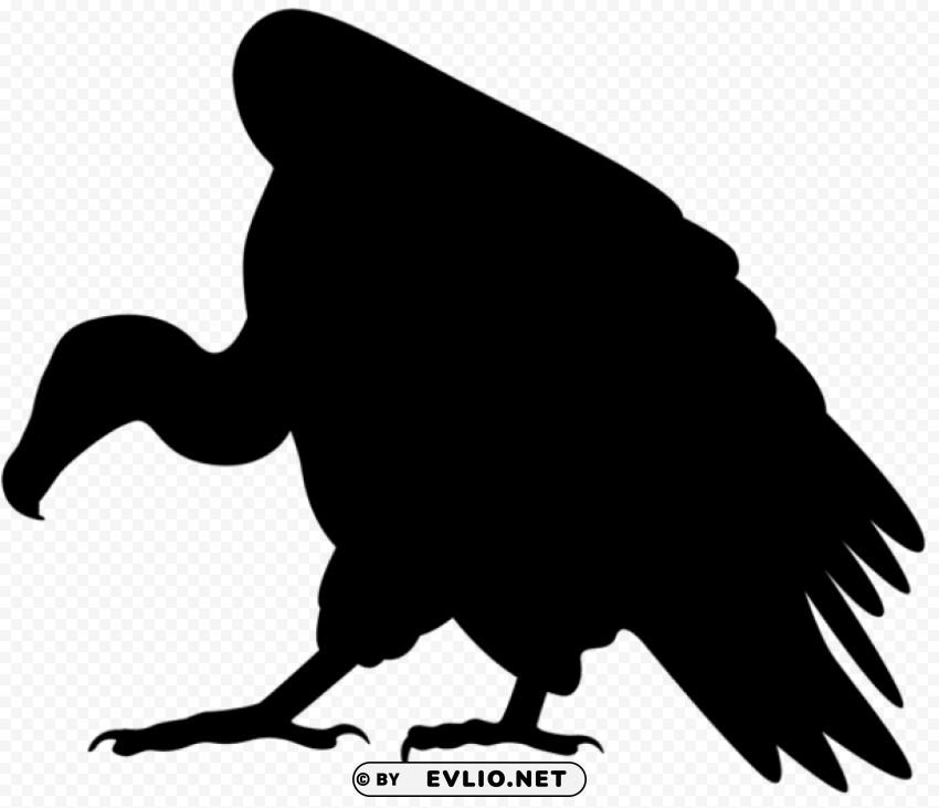 vulture silhouette Clear PNG pictures package