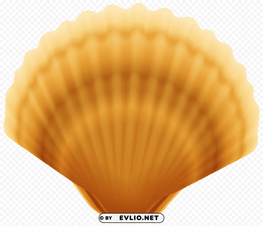 clam shell PNG transparent graphic