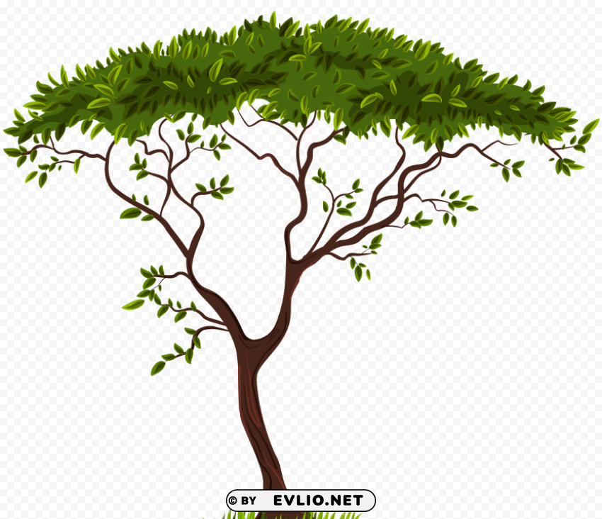 exotic tree ClearCut Background PNG Isolated Item