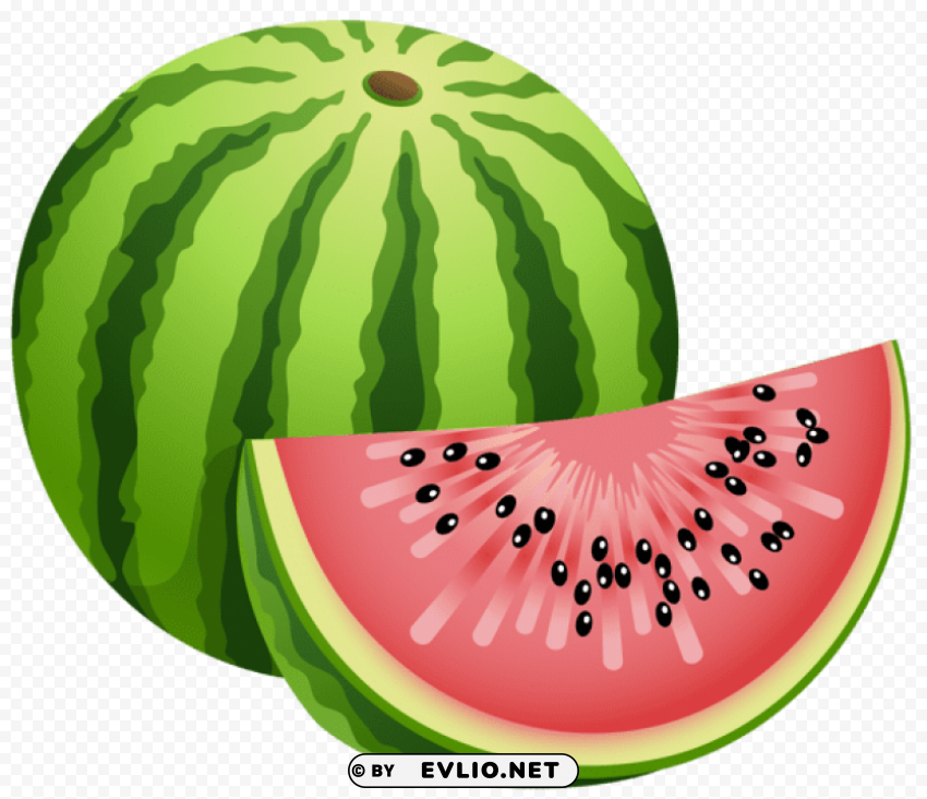 large painted watermelon Isolated Illustration on Transparent PNG