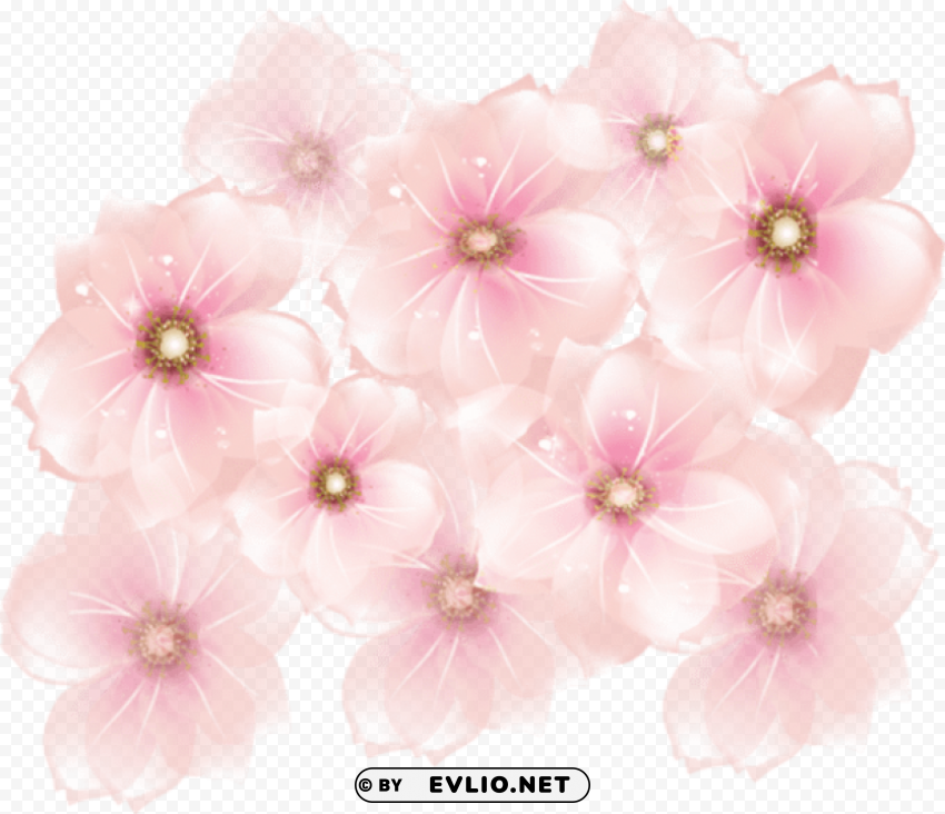 Pink Flowers Transparent High Resolution PNG Isolated Illustration