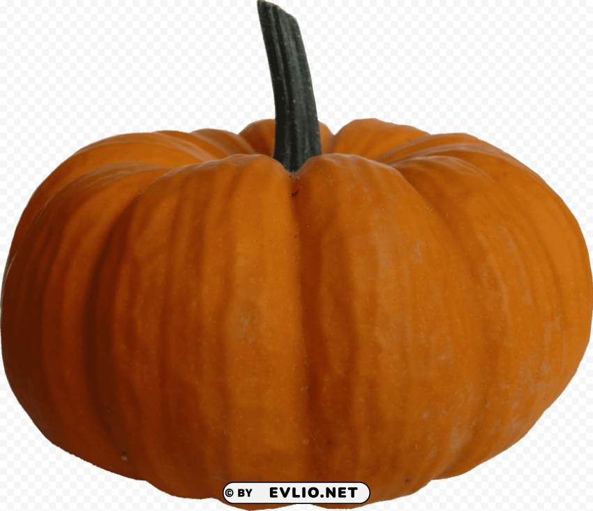 pumpkin file Isolated Artwork on HighQuality Transparent PNG