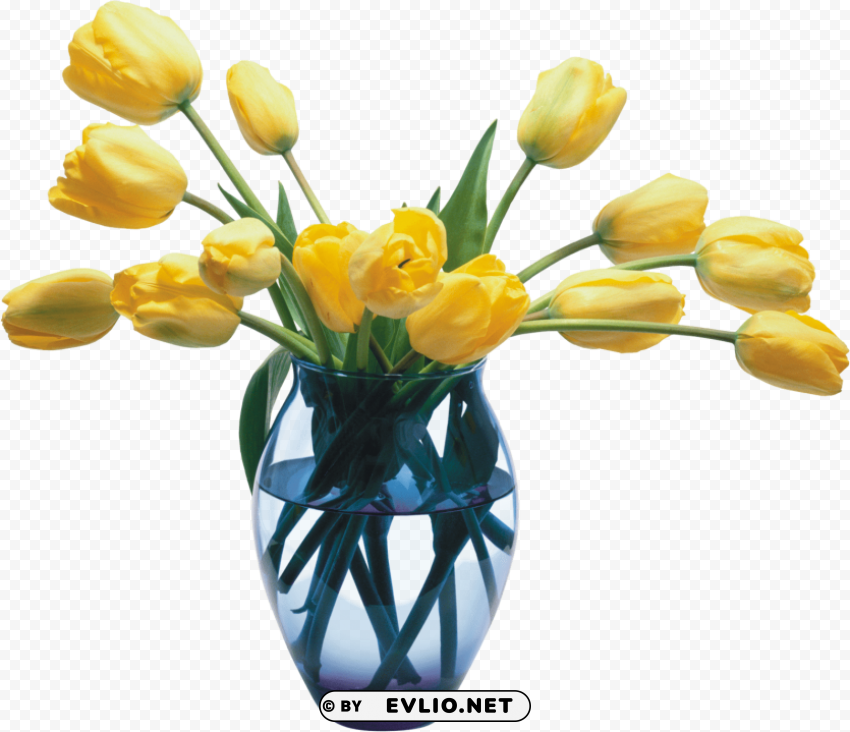 vase Clean Background Isolated PNG Image