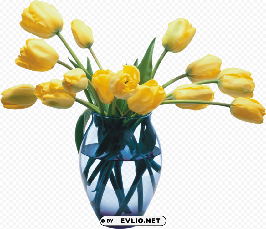 Vase Clean Background Isolated PNG Image