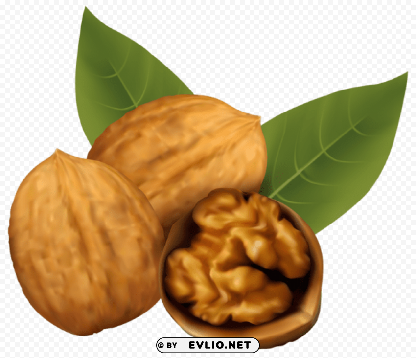 walnuts HighResolution Isolated PNG with Transparency