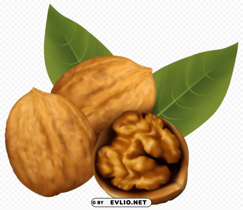 Walnuts HighResolution Isolated PNG With Transparency