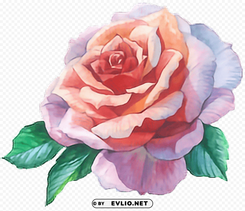 Rose Flower Water Color PNG Images Without BG