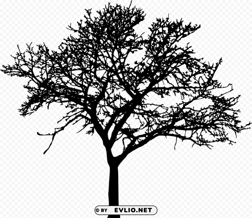 tree ilhouette Isolated Item on Transparent PNG
