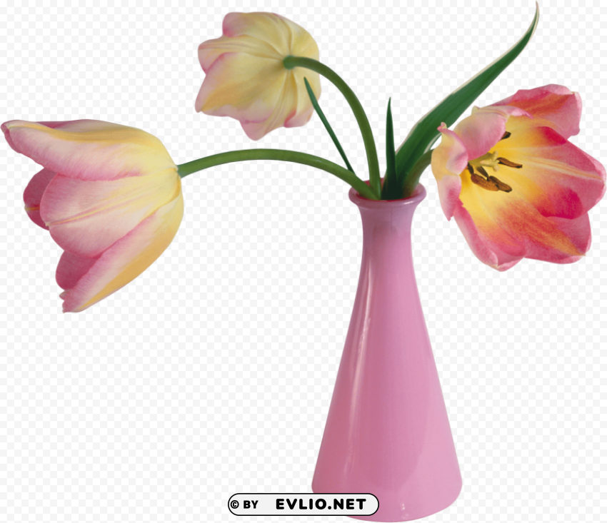 vase Transparent PNG images set