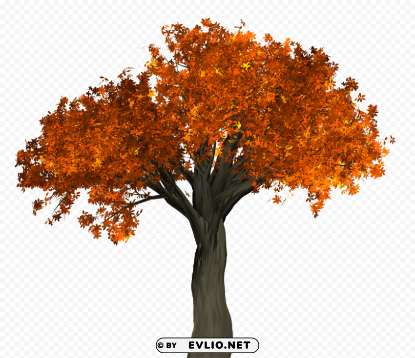 Autumn Tree Isolated Graphic With Transparent Background PNG