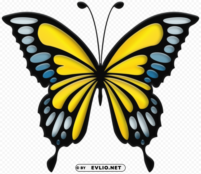 blue yellow butterfly PNG transparent graphics for projects