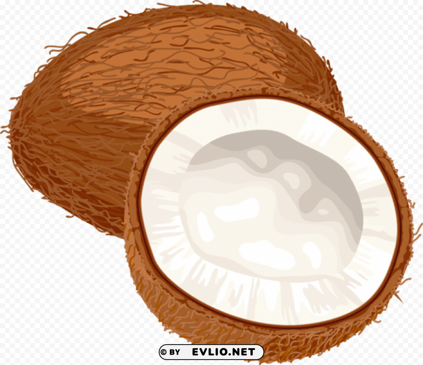 coconuts PNG photo with transparency clipart png photo - 9896fd11