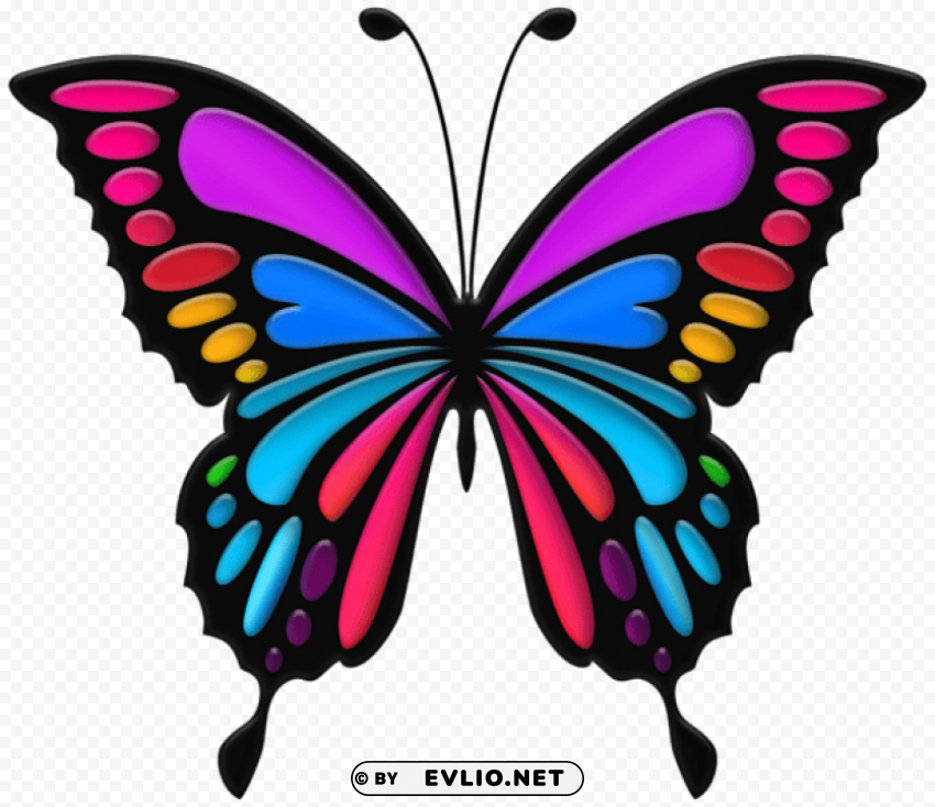 colorful butterfly PNG transparent images for printing