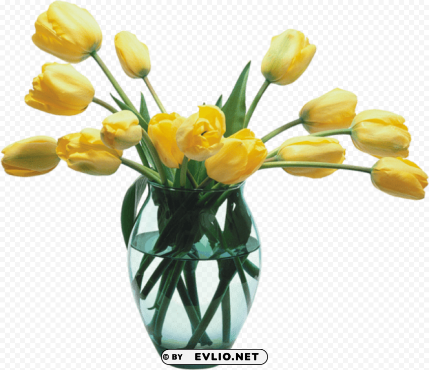 glass vase with yellow tulips Transparent PNG graphics complete archive