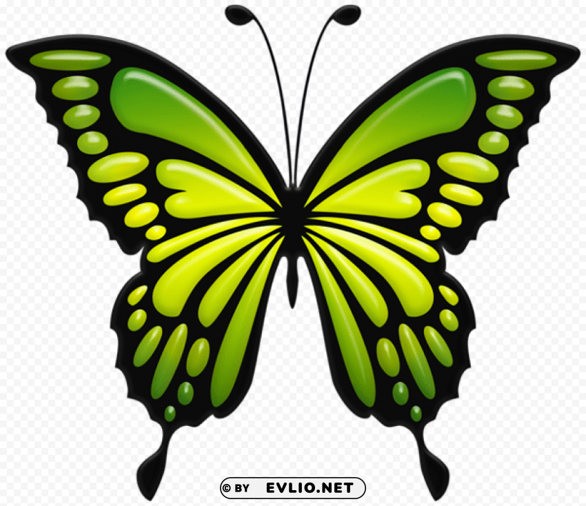 green butterfly PNG Isolated Illustration with Clear Background clipart png photo - eba3a482