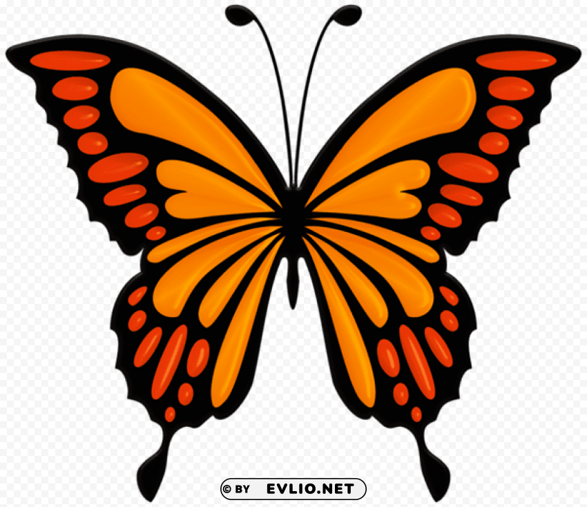orange butterfly PNG pictures without background clipart png photo - 99c23cdd