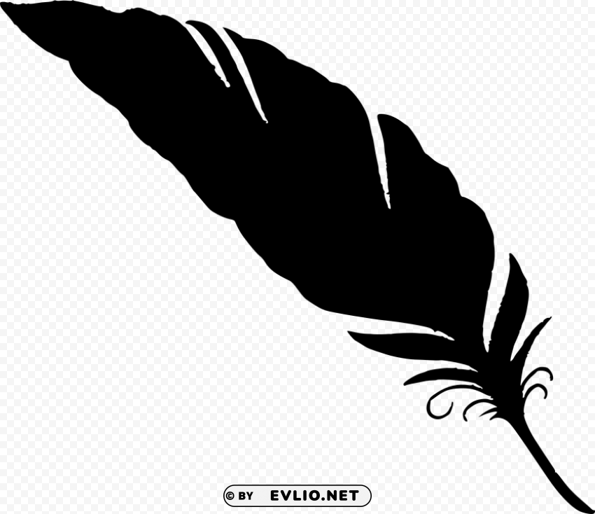 simple feather silhouette HighResolution PNG Isolated on Transparent Background