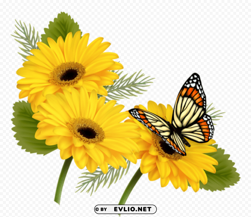 yellow gerberas with butterfly Transparent Background Isolated PNG Item