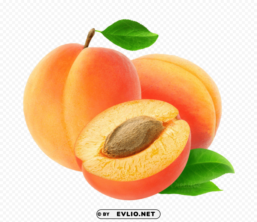 apricot image Isolated Element on HighQuality Transparent PNG