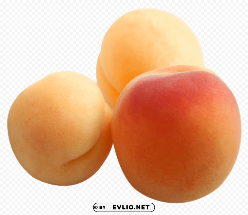 Apricots in Closeup PNG images with no background necessary