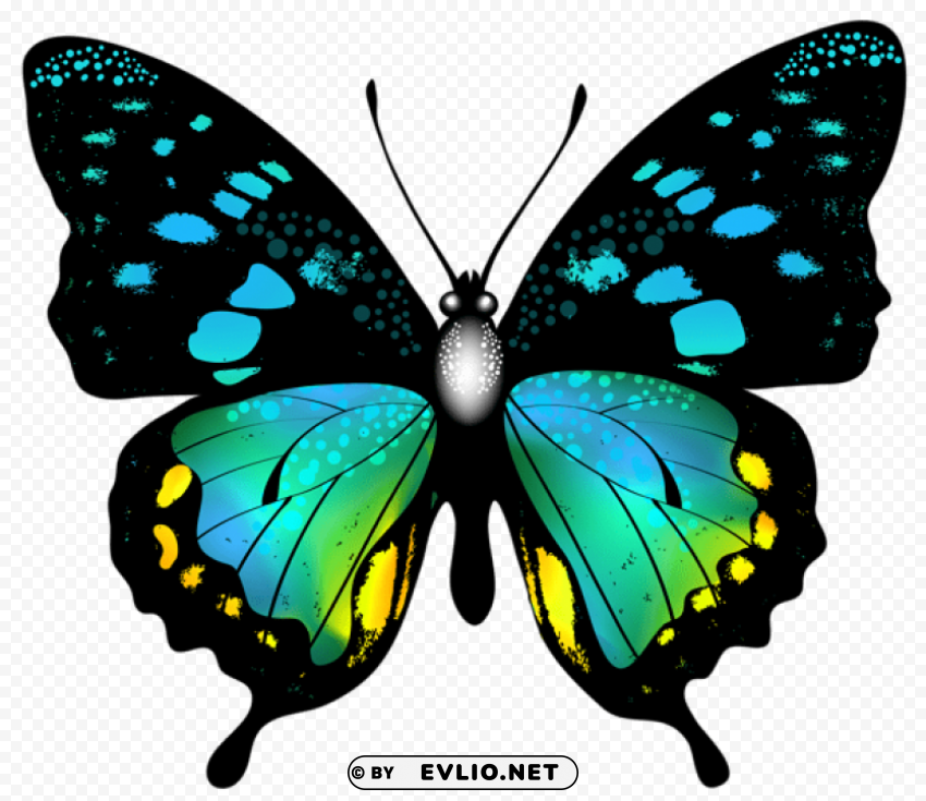 blue colorful butterfly Transparent PNG images for printing