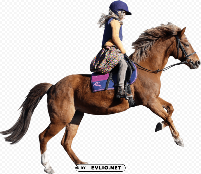 Transparent background PNG image of horse HighQuality PNG with Transparent Isolation - Image ID be56f583