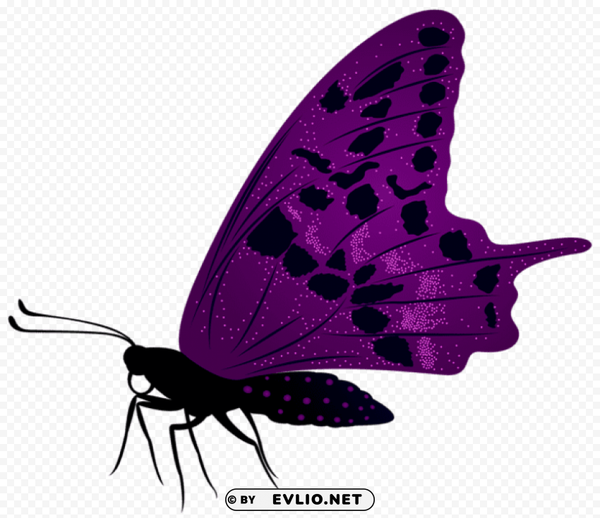 large purple butterfly PNG images with alpha channel selection
