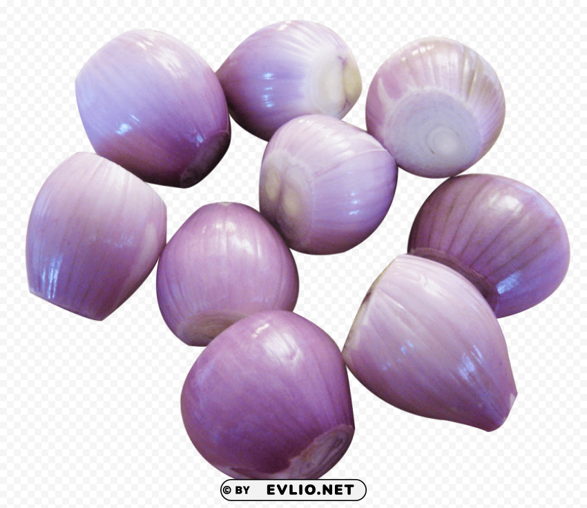peeled shallots Free download PNG with alpha channel